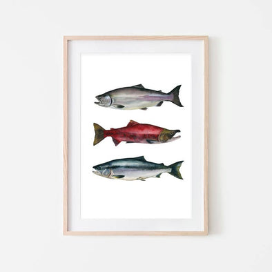Salmon Trio Print