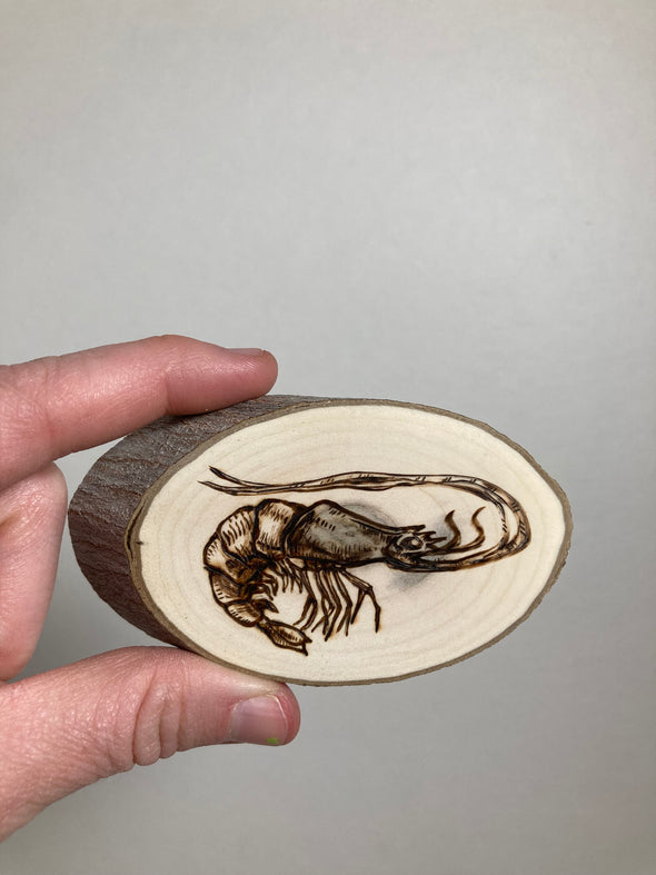 Shrimp - Small
