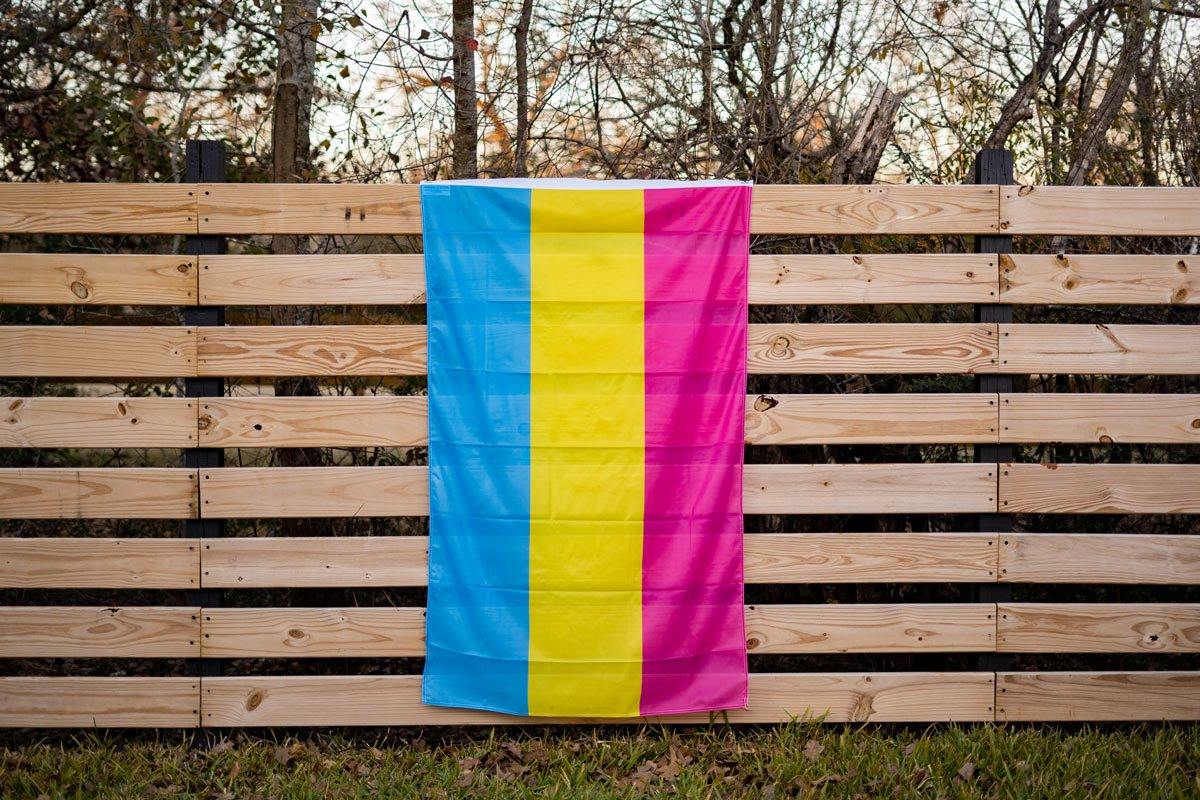 Pansexual (Pan) Pride Flag: (M) 2ft x 3ft Single-Sided with Grommets