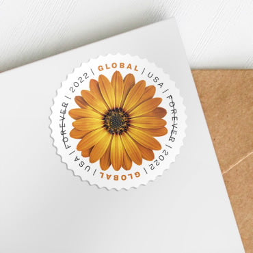 *Global Forever Stamps: African Daisy*