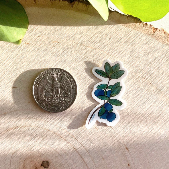 Mini Blueberry Sticker