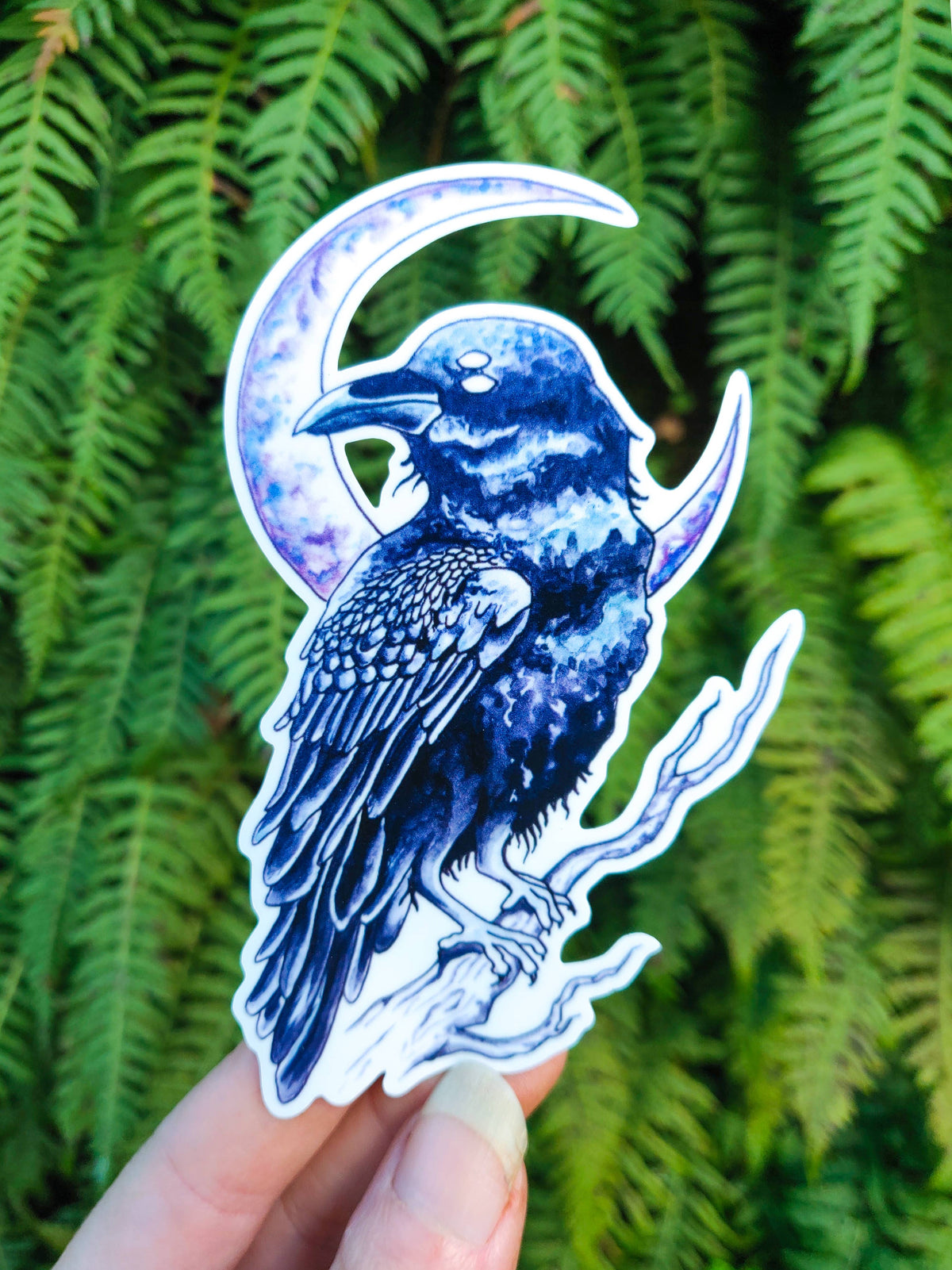 Raven Sight - Vinyl Sticker Art - Witchy Moon Third Eye PNW Bird Forest Watercolor