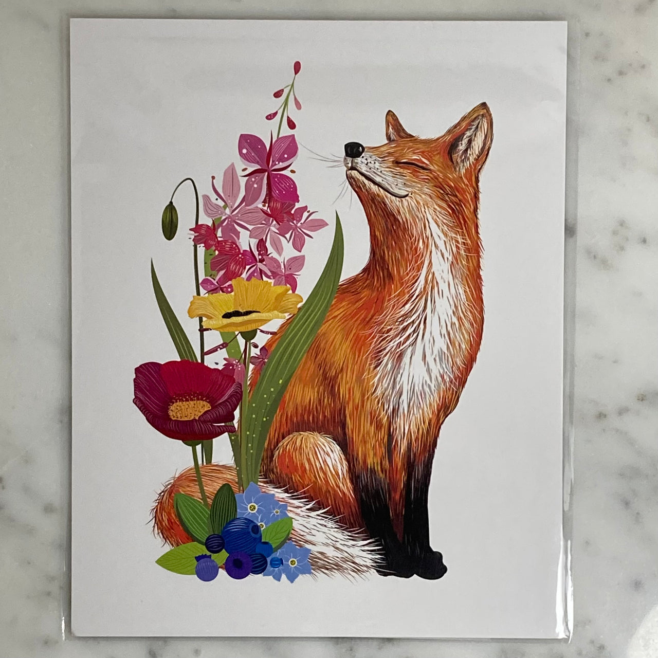 Foxy 8x10 Print