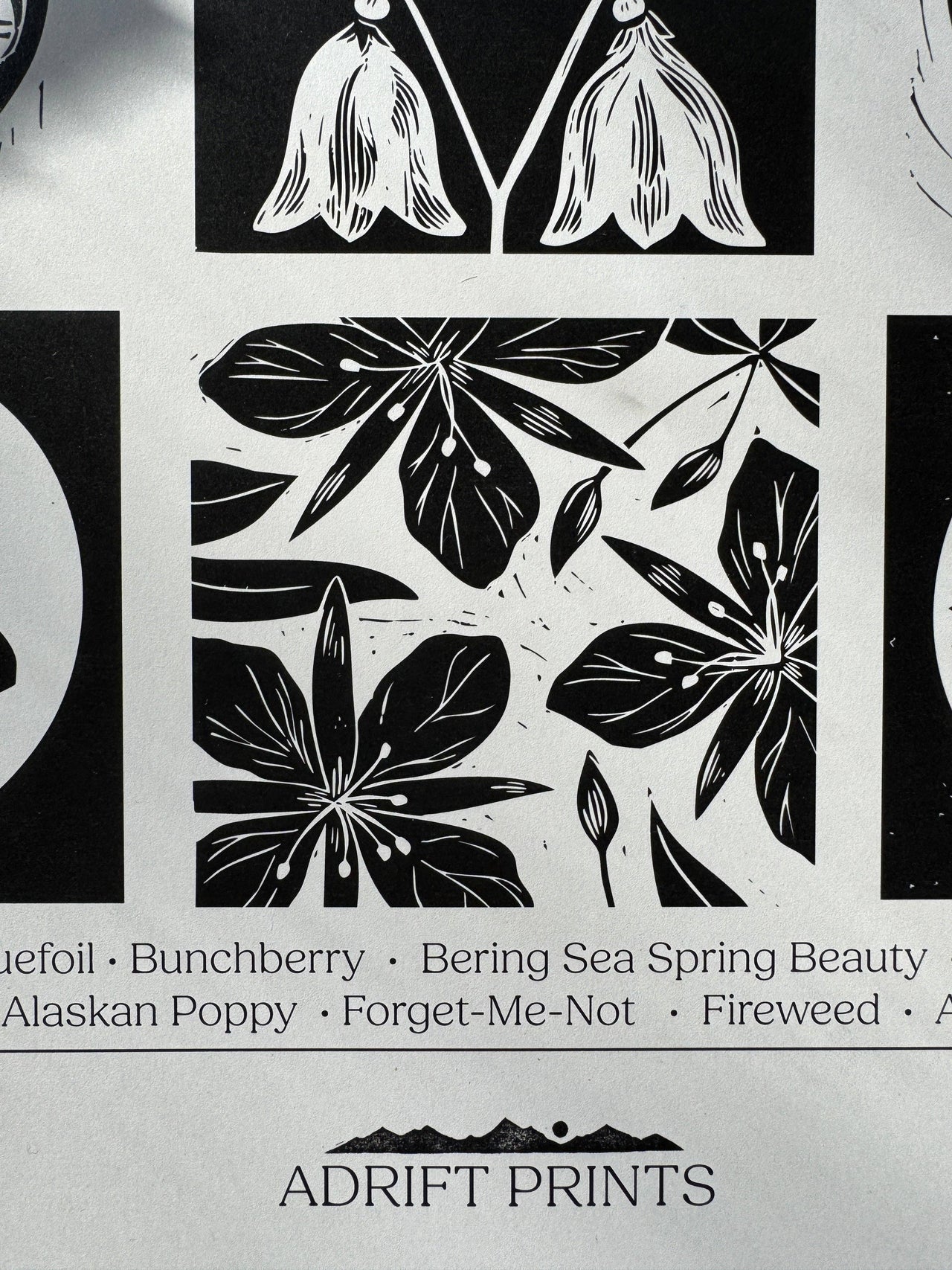 Wildflowers of Alaska • poster print