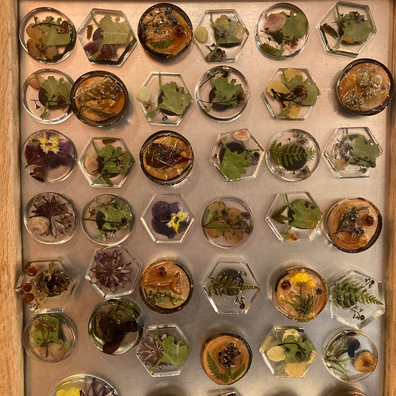 Wild Alaskan Magnets