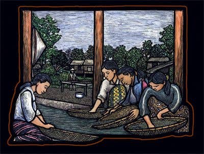 Washing the Harvest Card