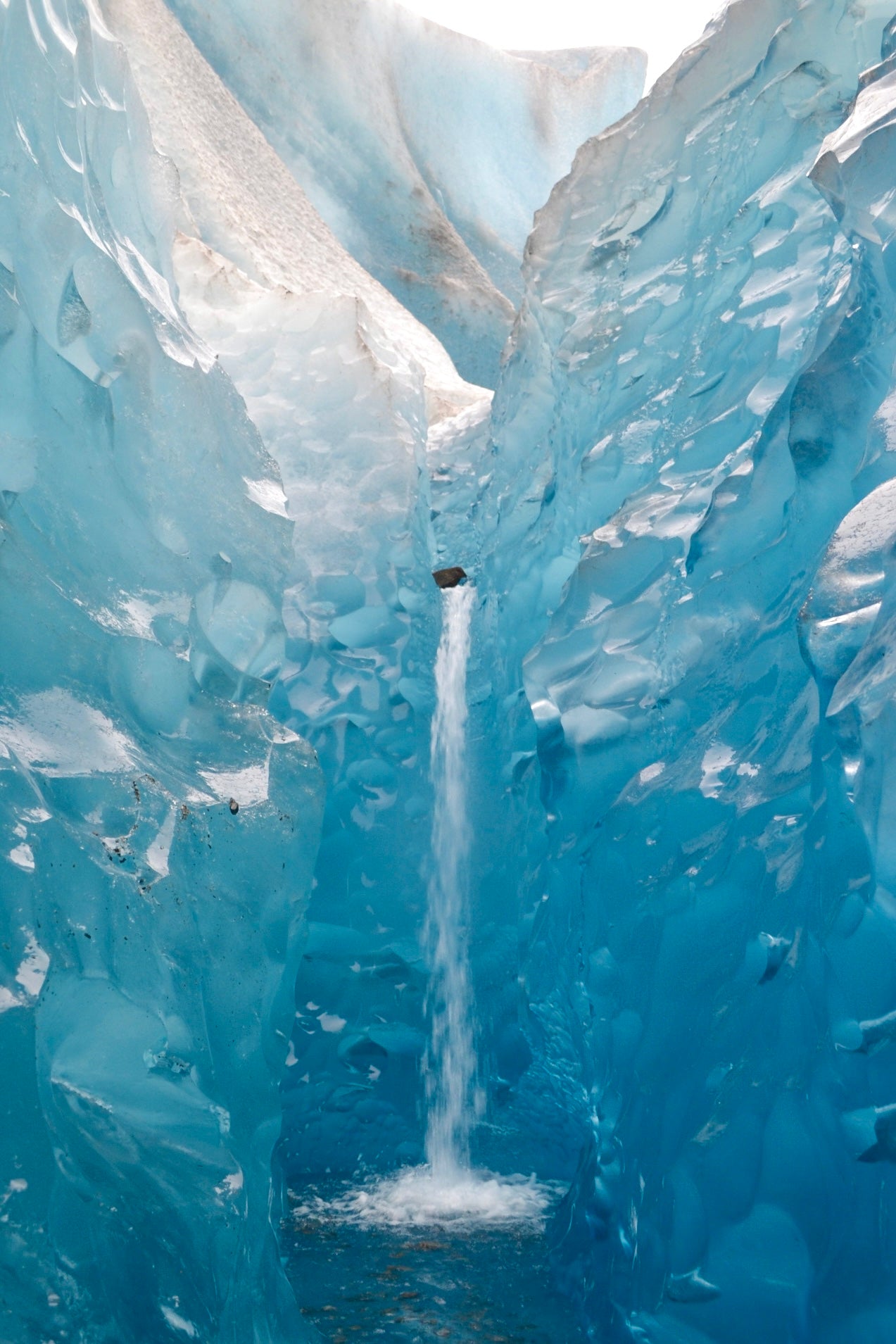 2026 Postcard: "My Icy Home" by Claire Cartier