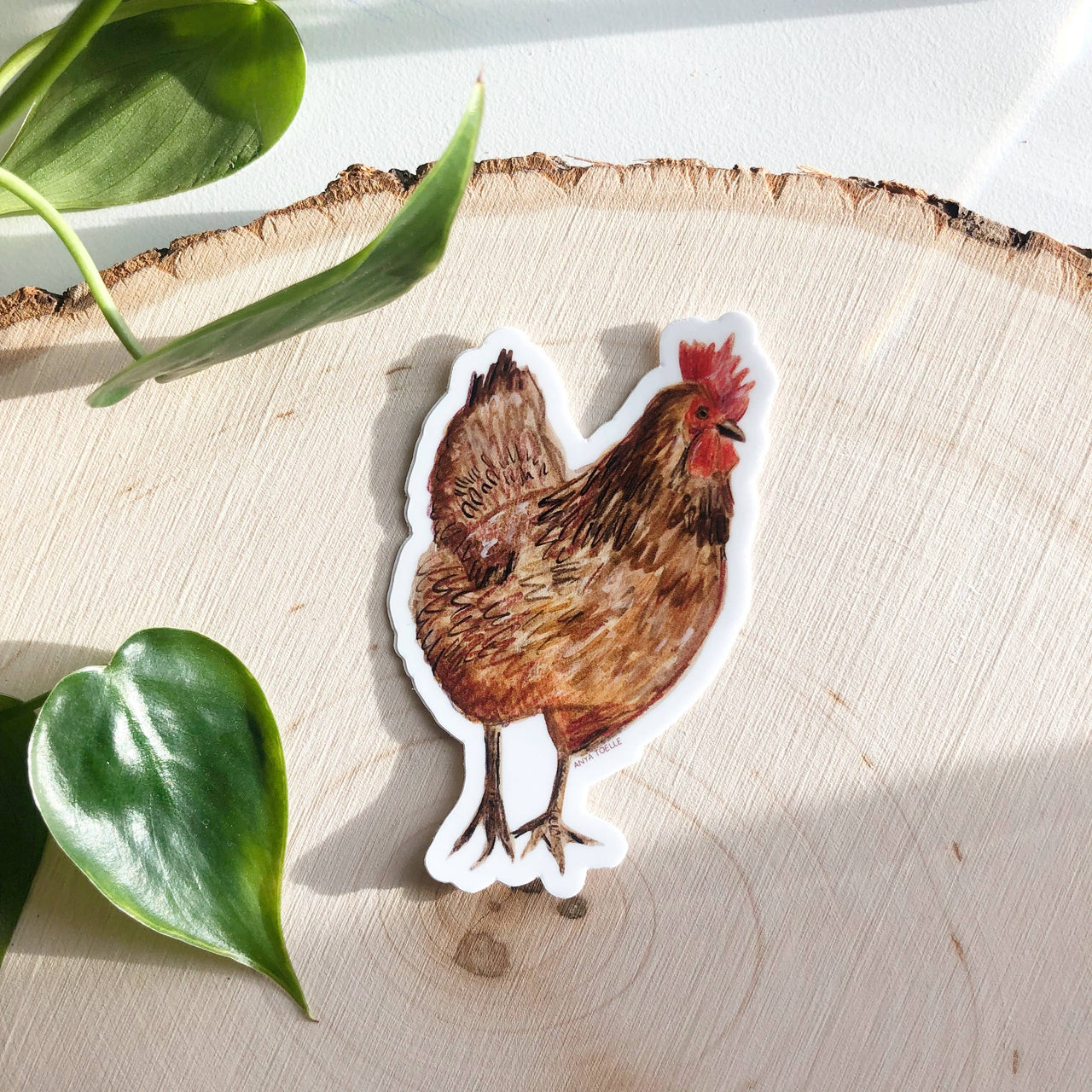 Chicken | Farm Animal Sticker