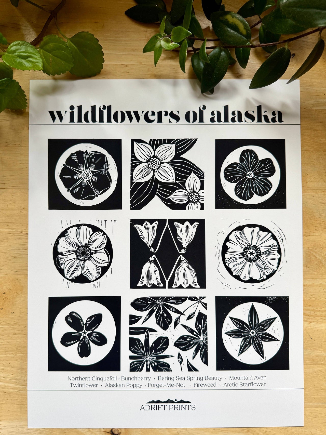 Wildflowers of Alaska • poster print