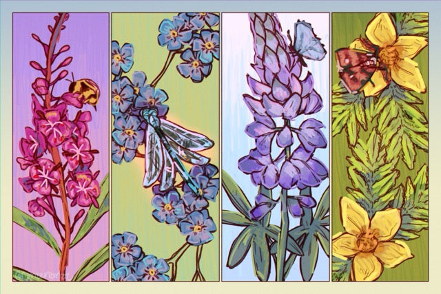 2026 Postcard: "Wildflowers of Southeast Alaska" by Savanna Hancock