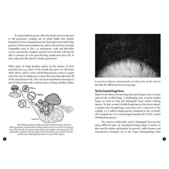 The Mycocultural Revolution: Transforming Our World with Mushrooms, Lichens, and Other Fungi