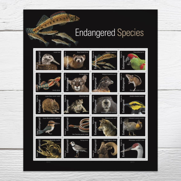*Forever Letter Stamps: Endangered Species