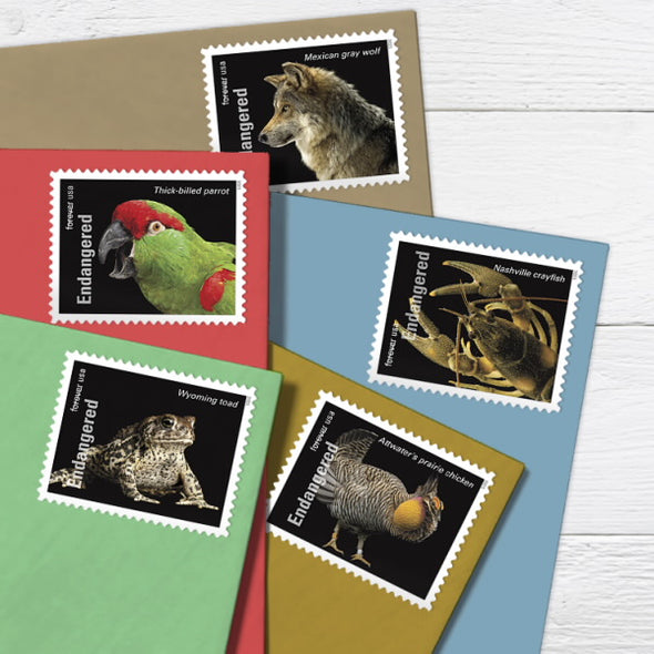 *Forever Letter Stamps: Endangered Species
