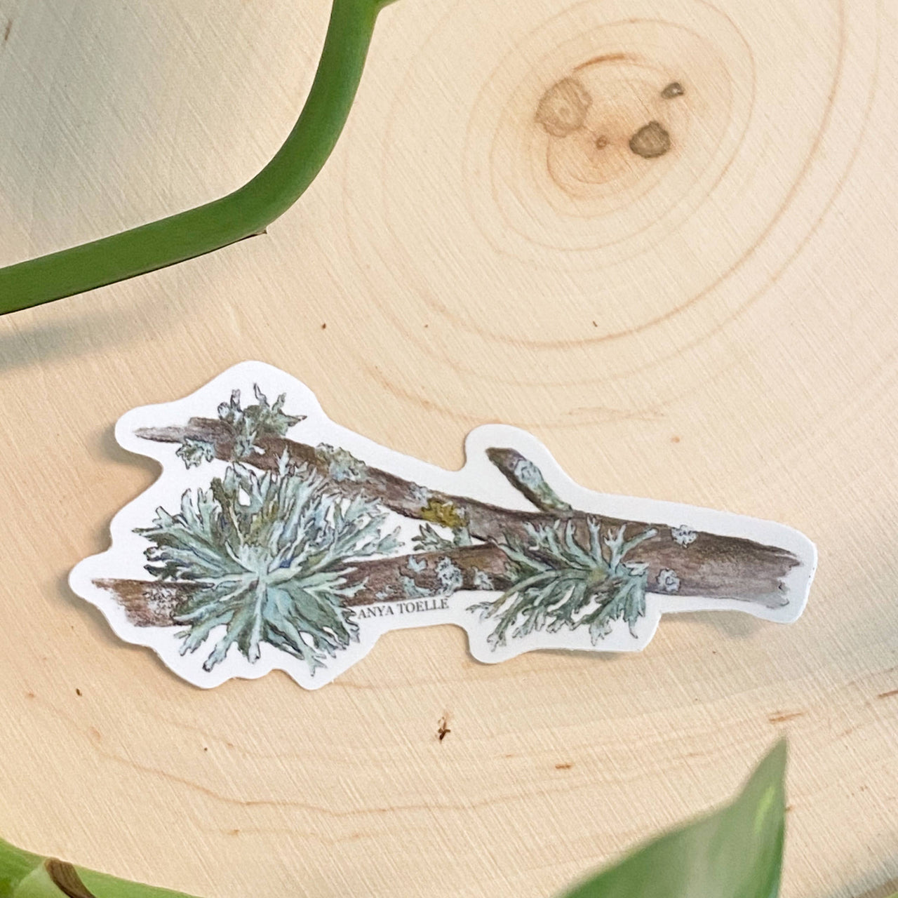 Lichen Sticker