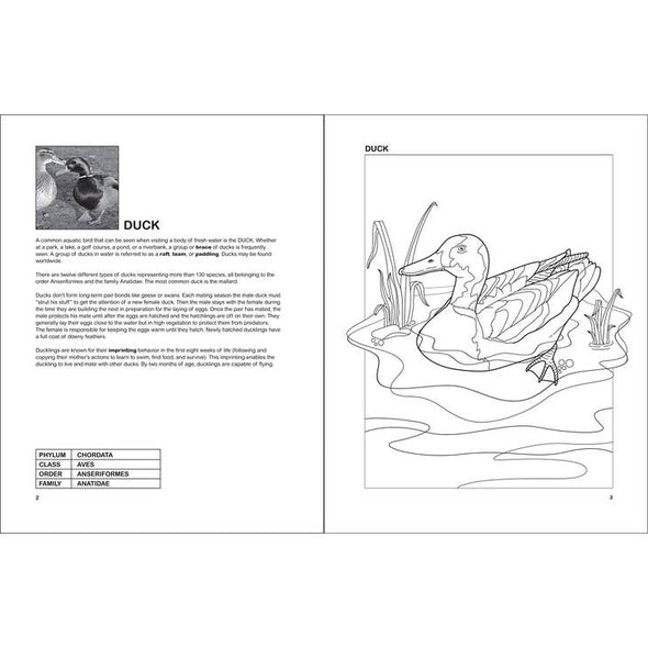 The Aquatic Birds Coloring Book