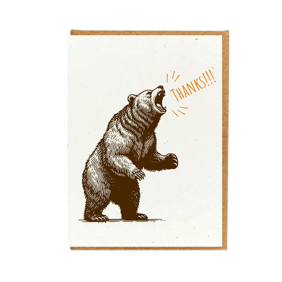 Grizzly Bear Thank You Greeting Card Box Set
