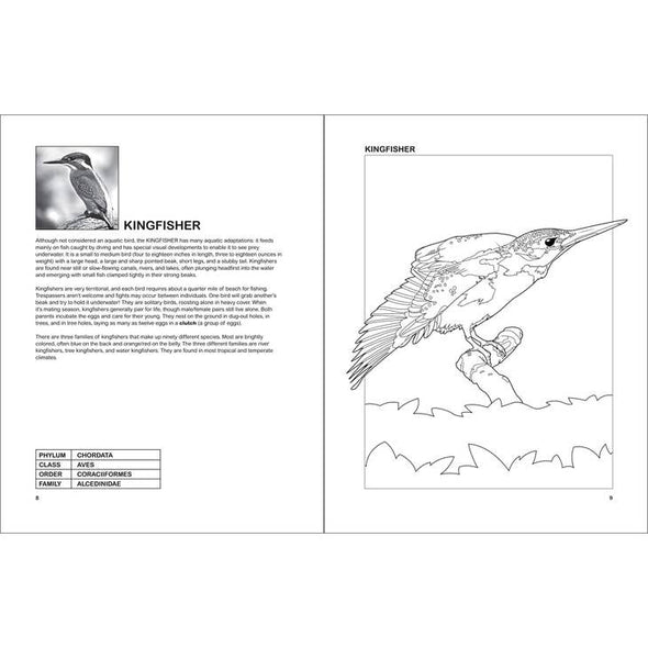 The Aquatic Birds Coloring Book