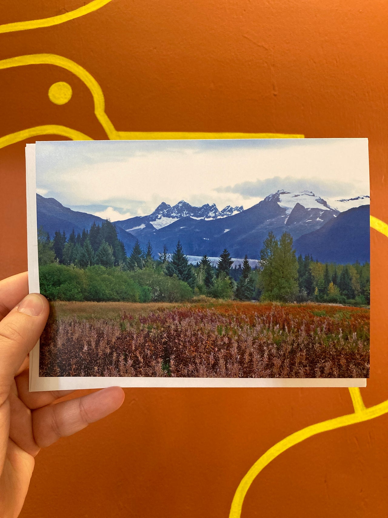 Mendenhall Glacier (Autumn) Notecard