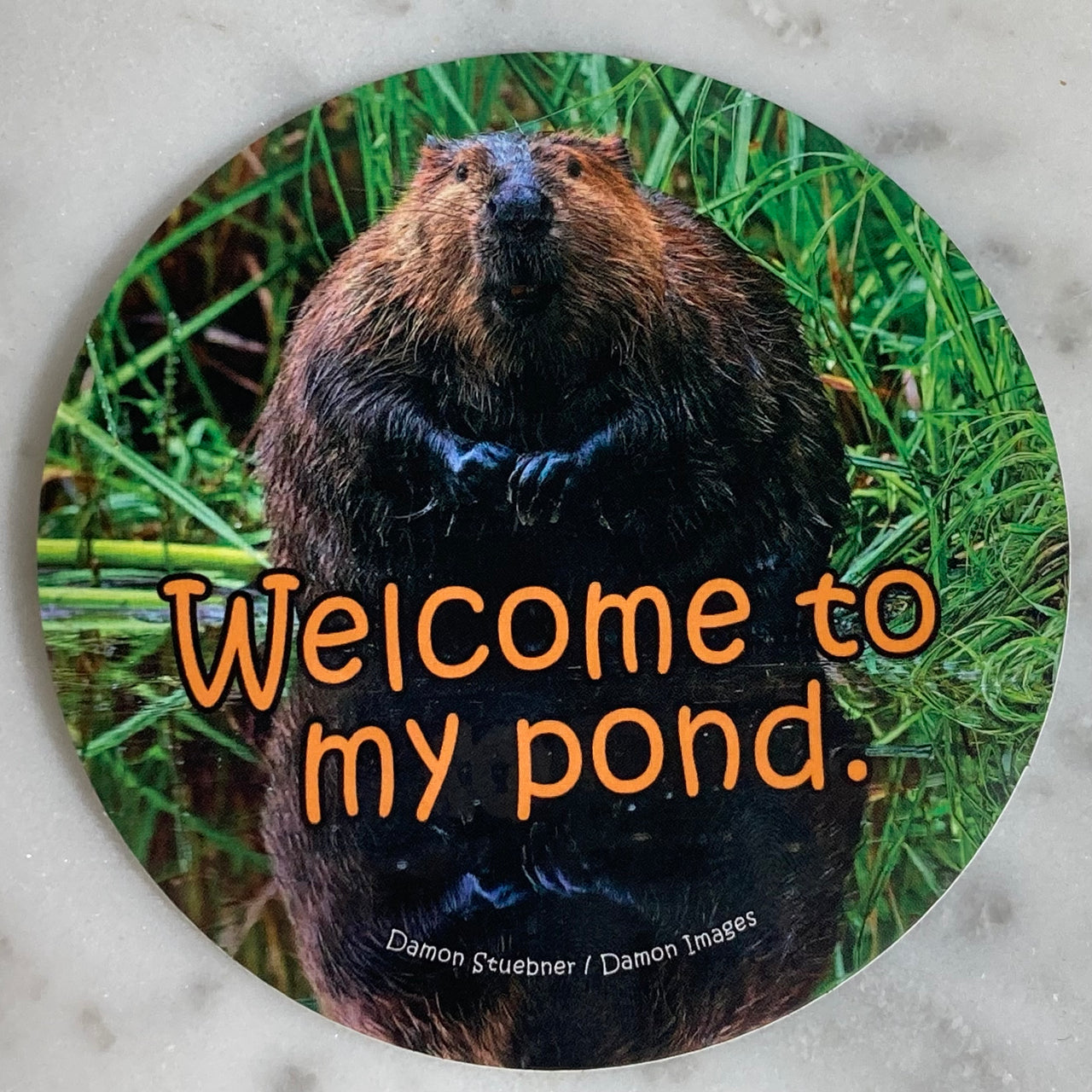 Welcome to My Pond Sticker