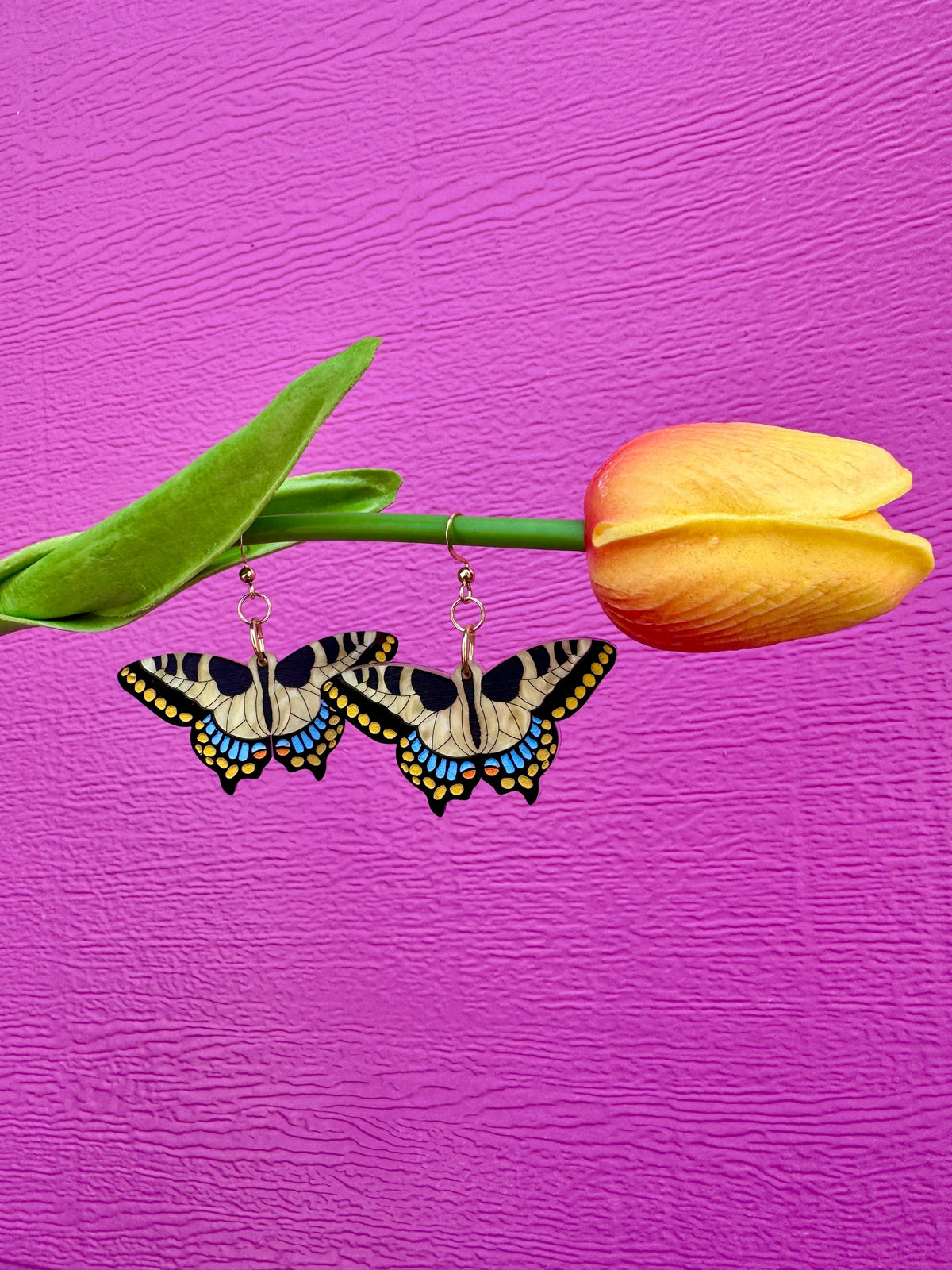 Swallowtail 