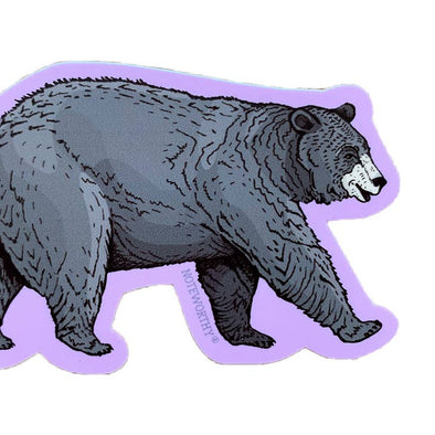 Black Bear Sticker