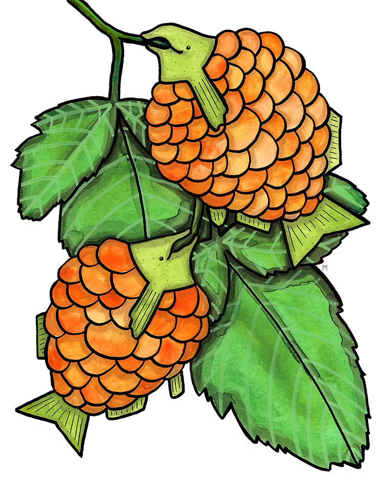 Salmonberries Print