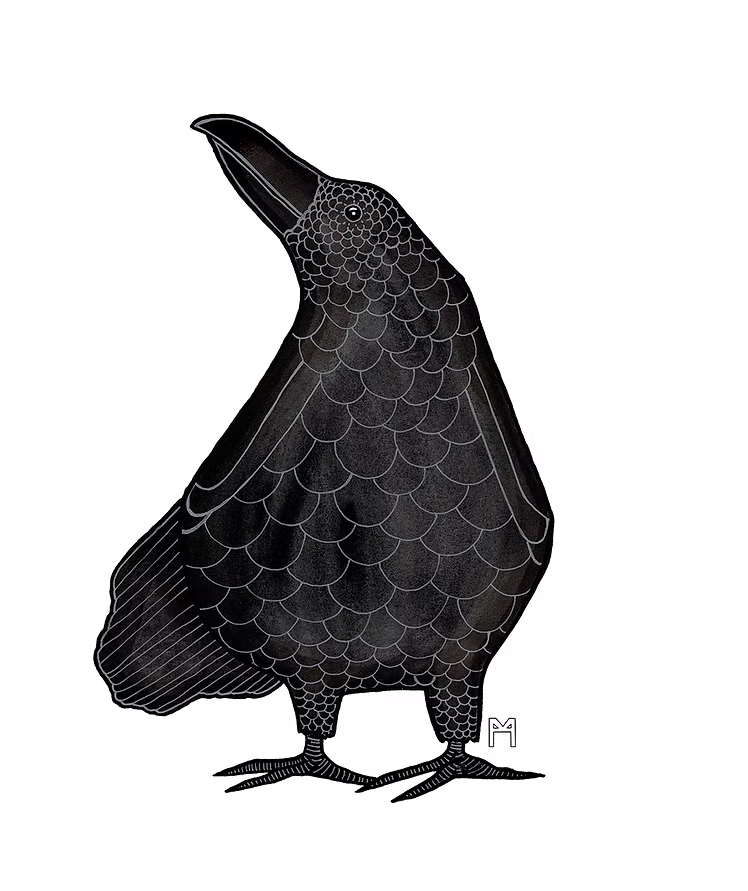Raven Print