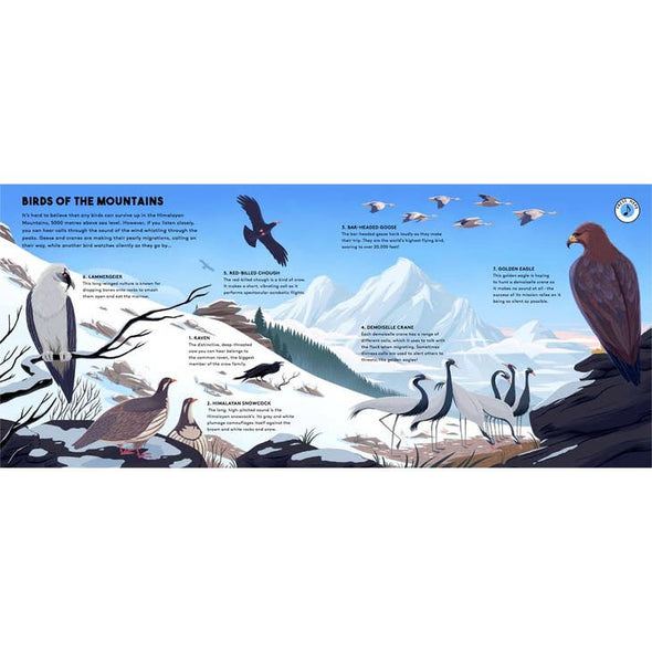 World of Birds: Sounds of Nature