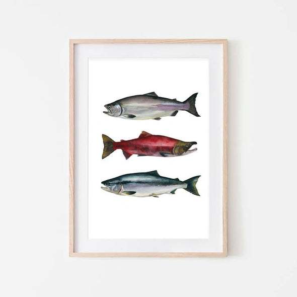 Salmon Trio Print