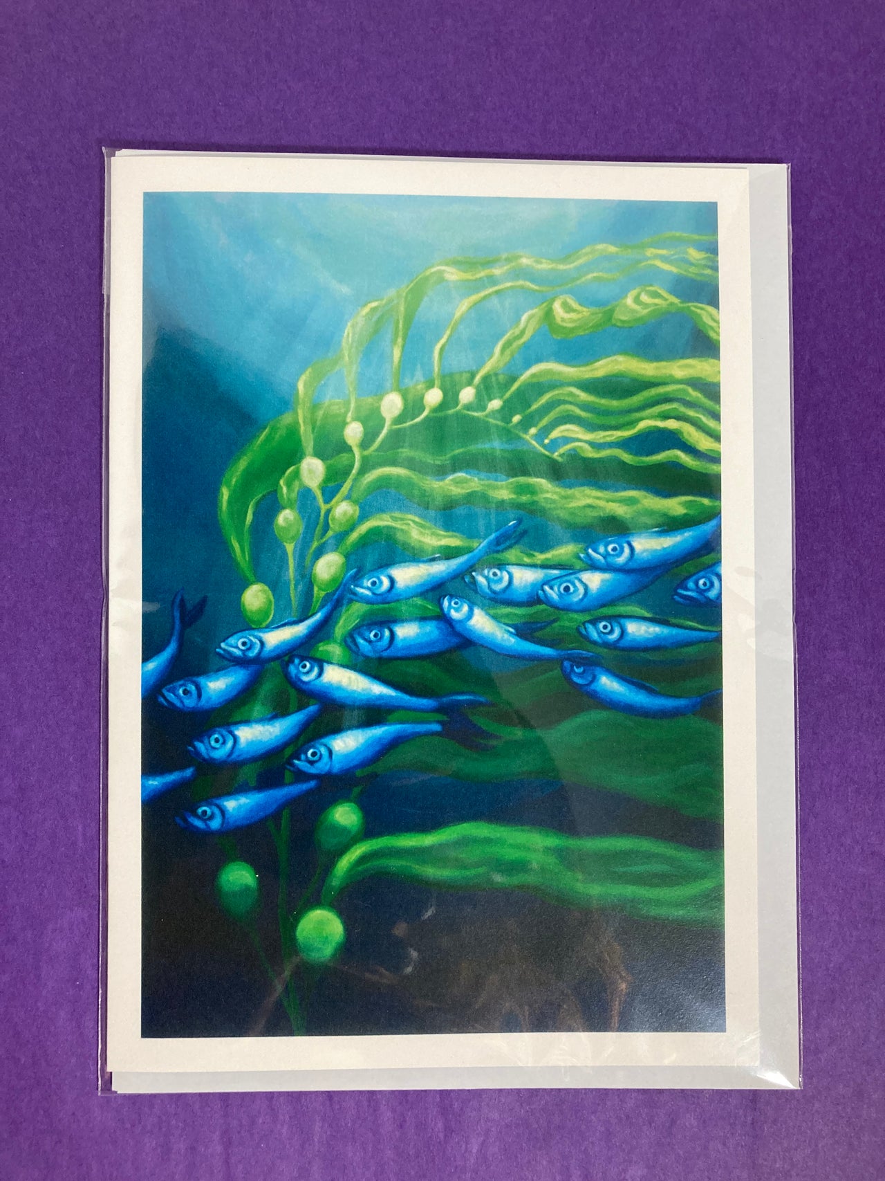 Herring in Coastal Kelp Card