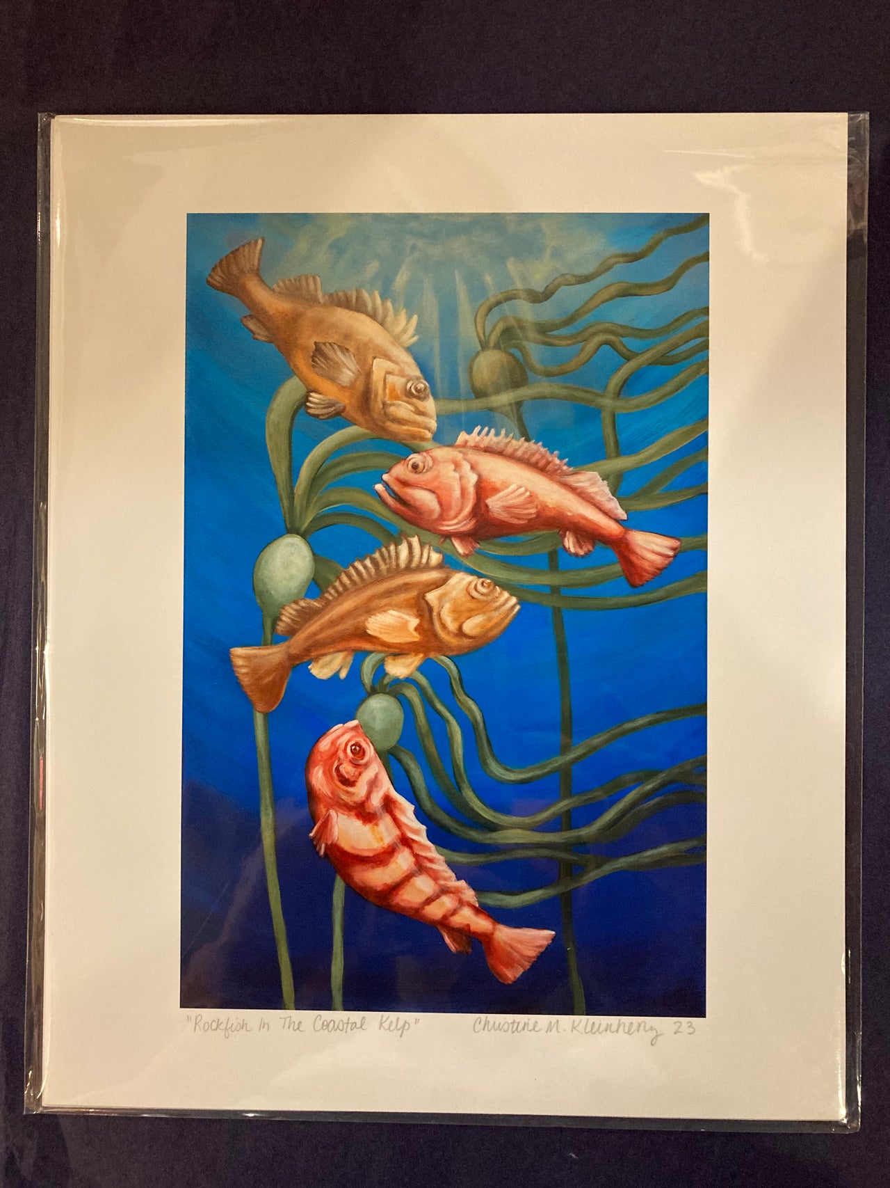 Rockfish in the Coastal Kelp Print
