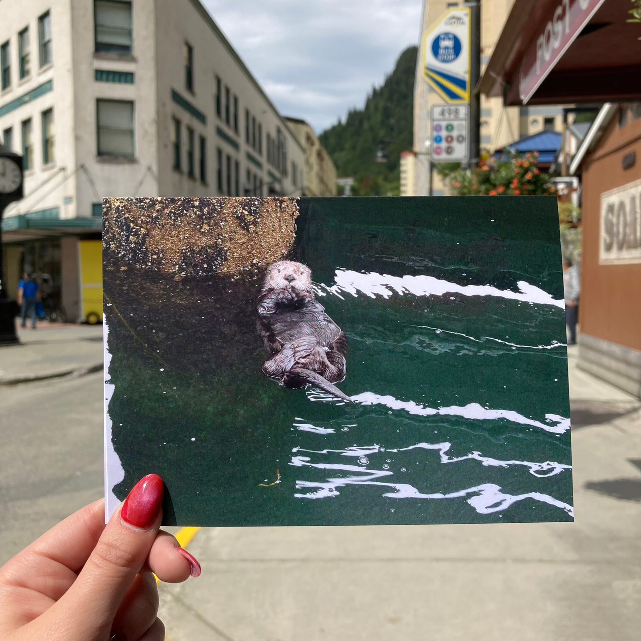 Otter Notecard