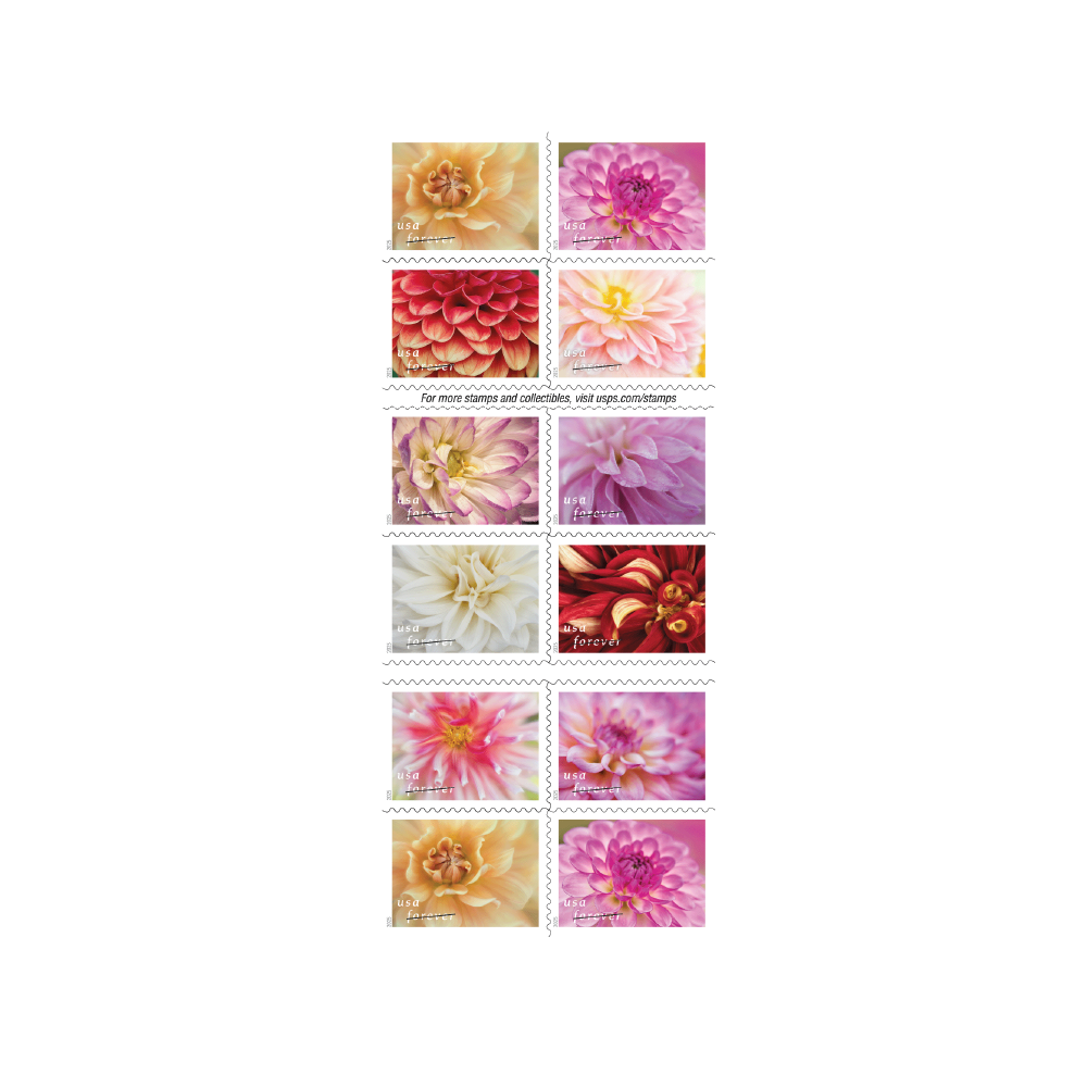 *Forever Letter Stamps: Dahlias*