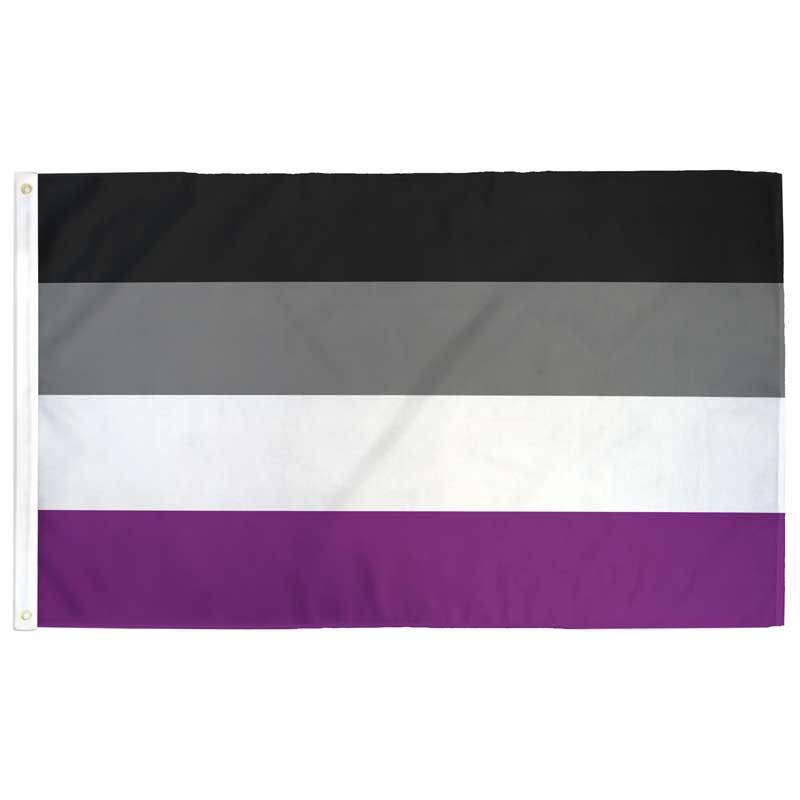 Asexual (Ace) Pride Flag: (M) 2ft x 3ft Single-Sided with Grommets