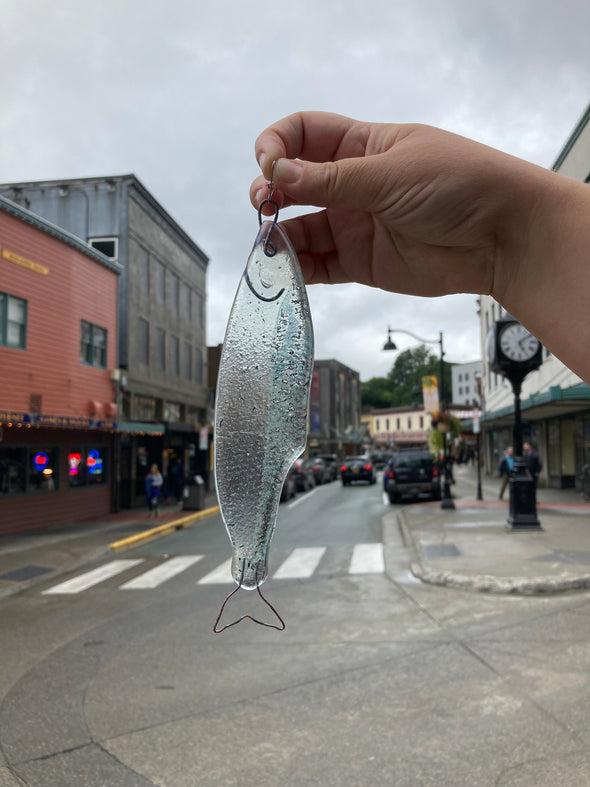 Glass Fish - Herring