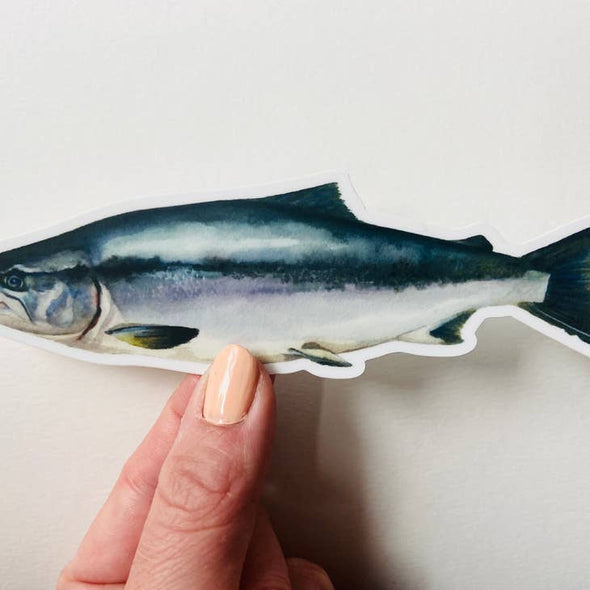 Silver Salmon Sticker