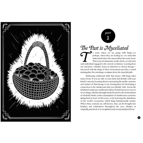 The Mycocultural Revolution: Transforming Our World with Mushrooms, Lichens, and Other Fungi