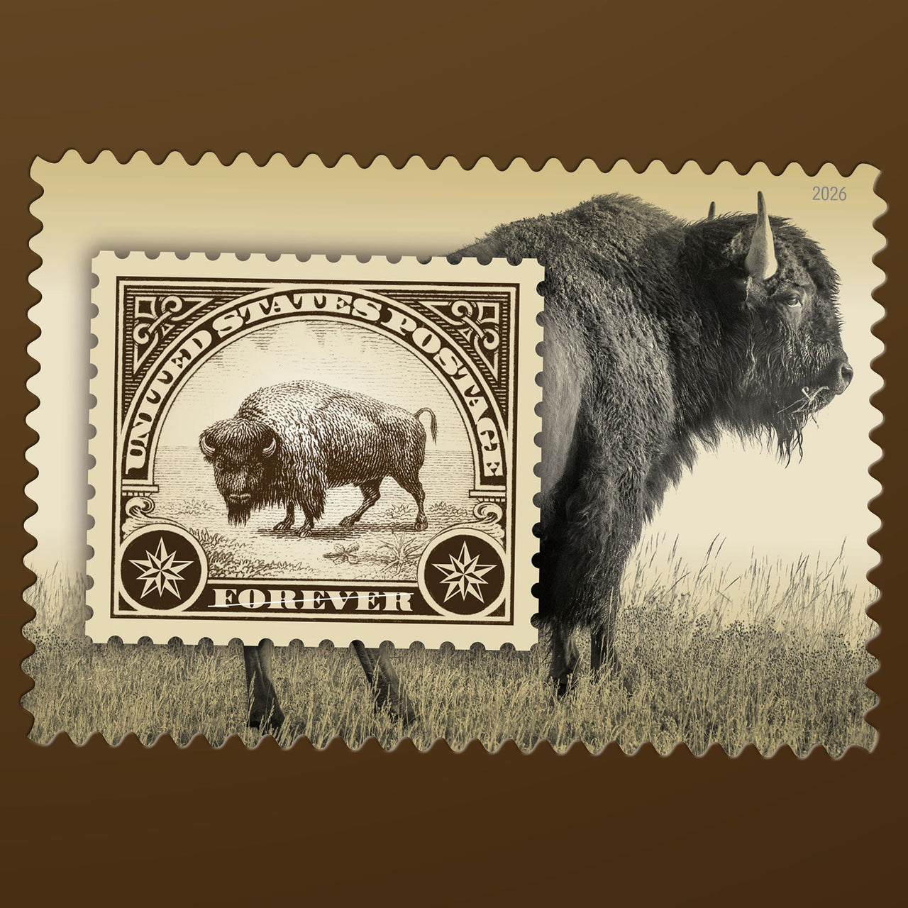 *Forever Letter Stamps: American Bison*