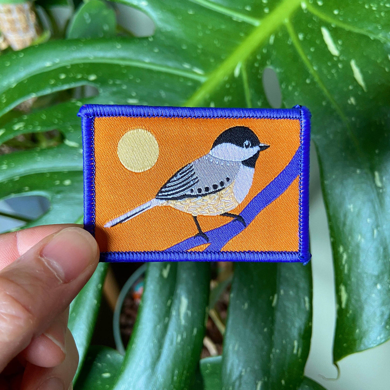 Small Chickadee Patch