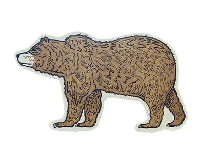 Grizzly Bear Postcard