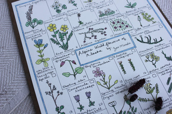 Alaskan Wildflower Field Guide (Alpine)