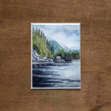 Tonsina Card