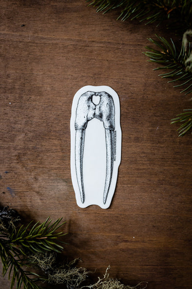 Walrus Sticker