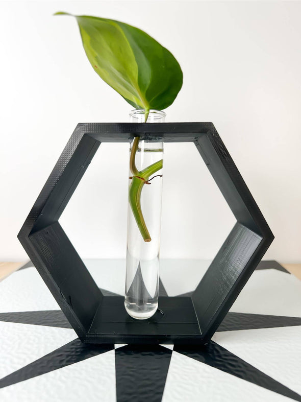 Hexagon Plant Propagation Stand - White