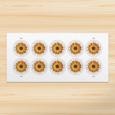 *Global Forever Stamps: African Daisy*