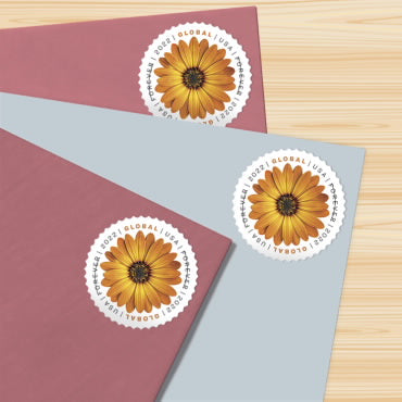 *Global Forever Stamps: African Daisy*
