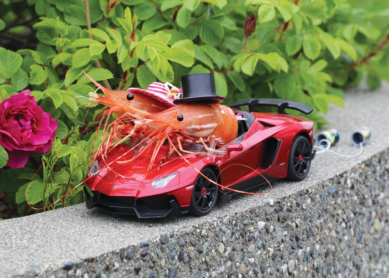 Wedding Bells Shrimp Card