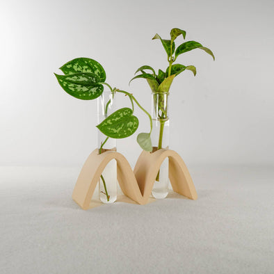 Nordic Arch Plant Propagation - Sand