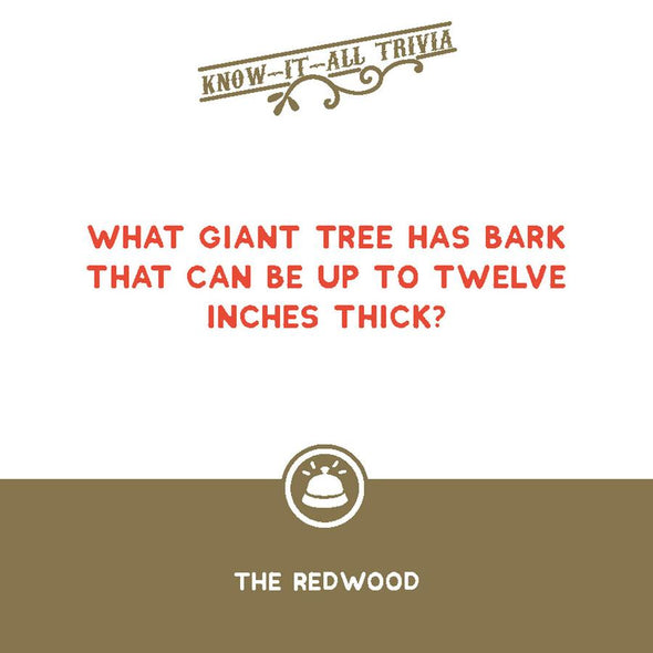 That Rings a Bell! Game: Know-It-All Trivia