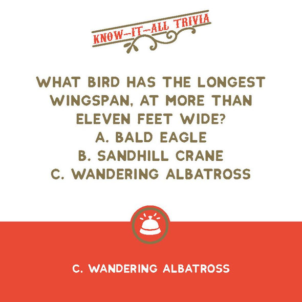 That Rings a Bell! Game: Know-It-All Trivia